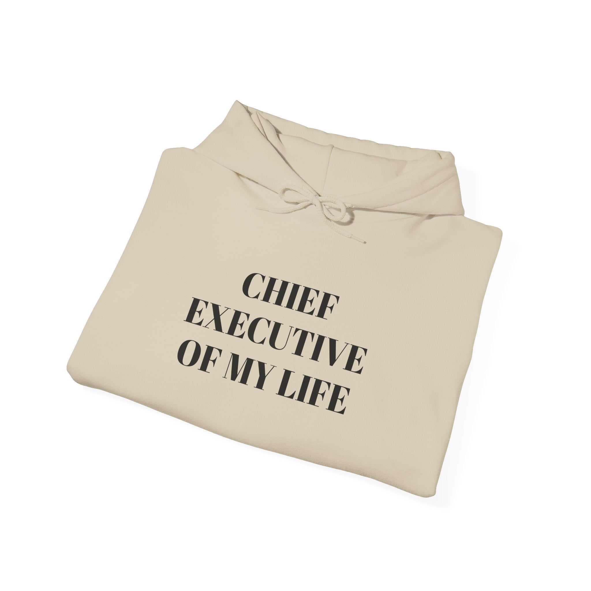 CEO Life Hoodie